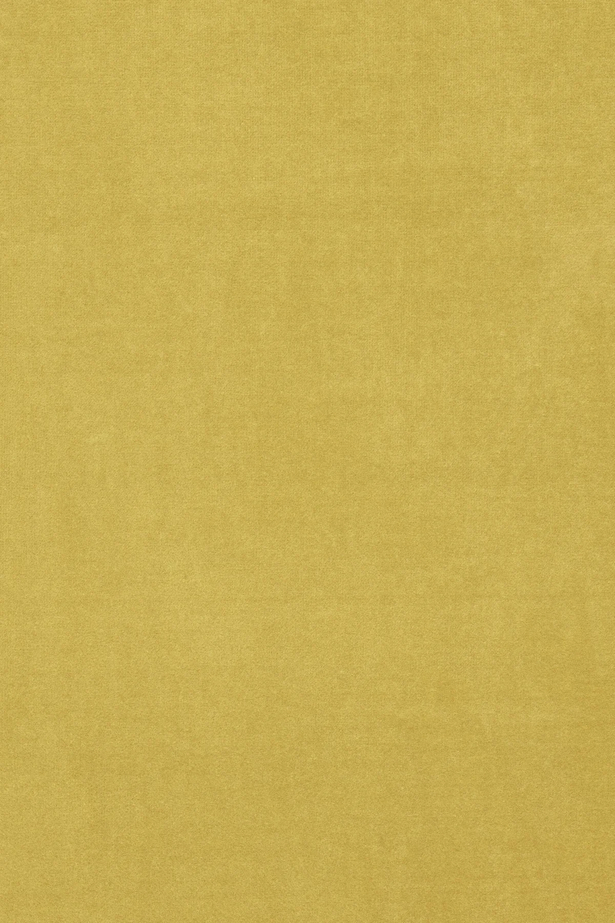 Fabric sample Harald 3 443 yellow